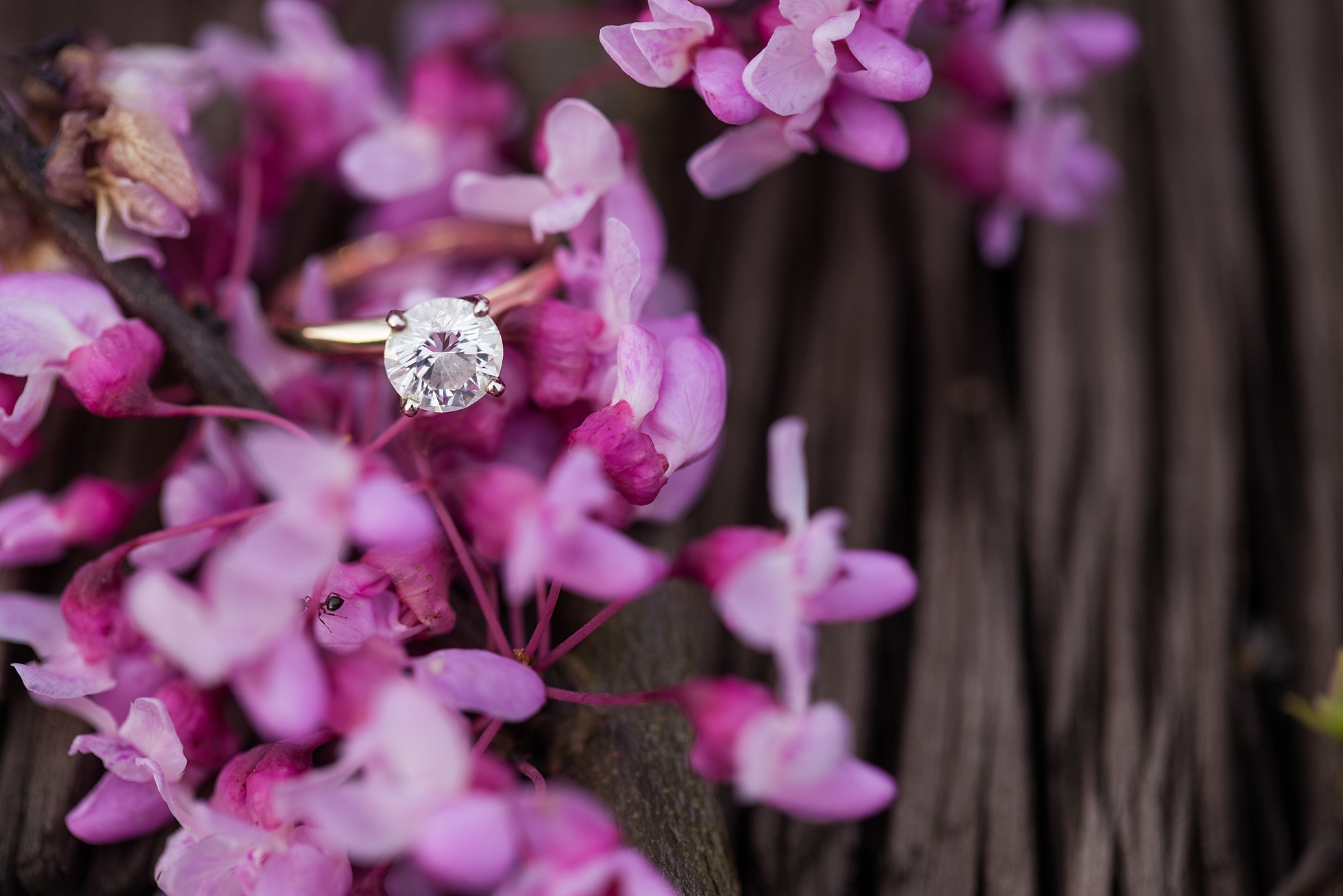 purple flowers engagement ring