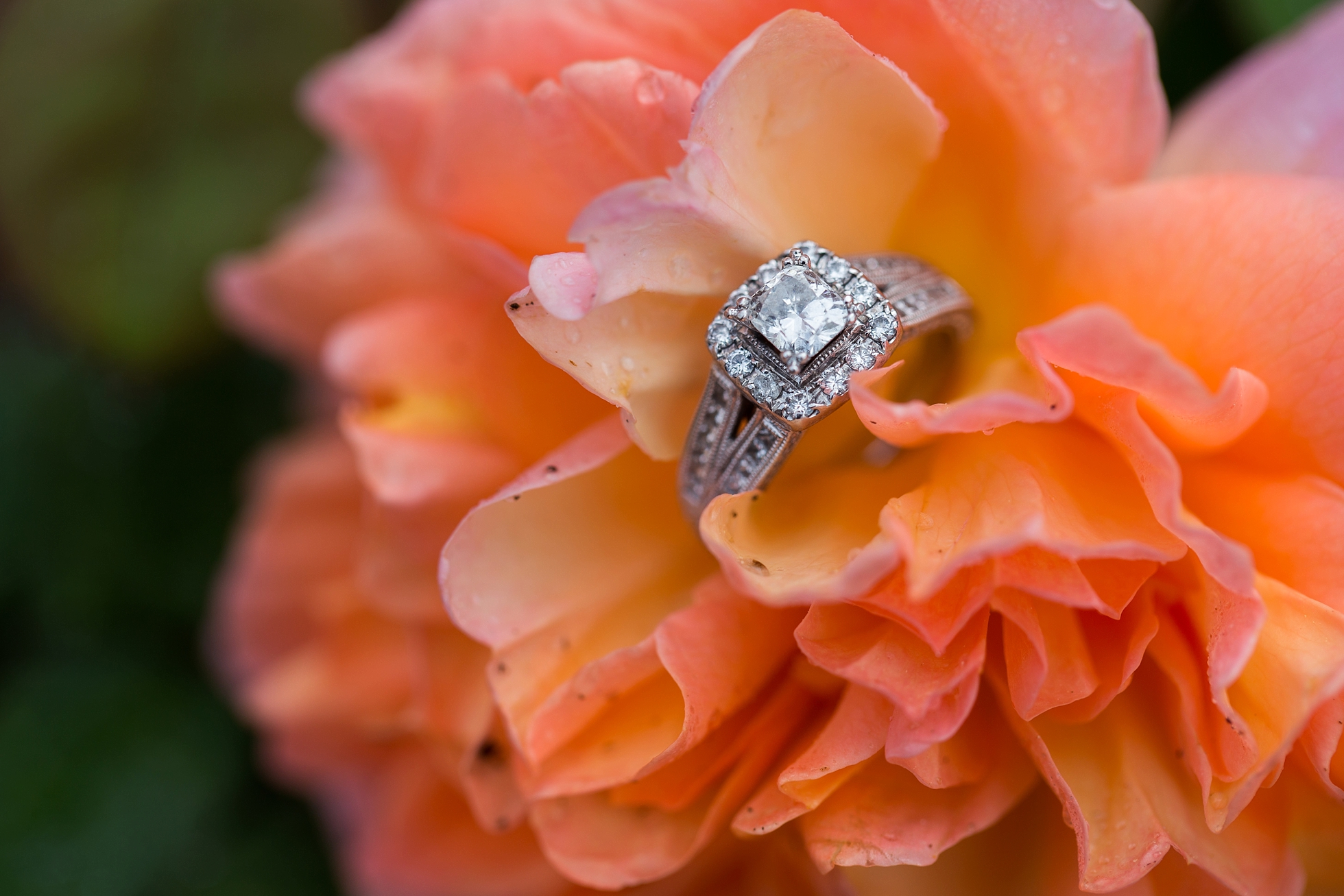 wedding ring engagement flower