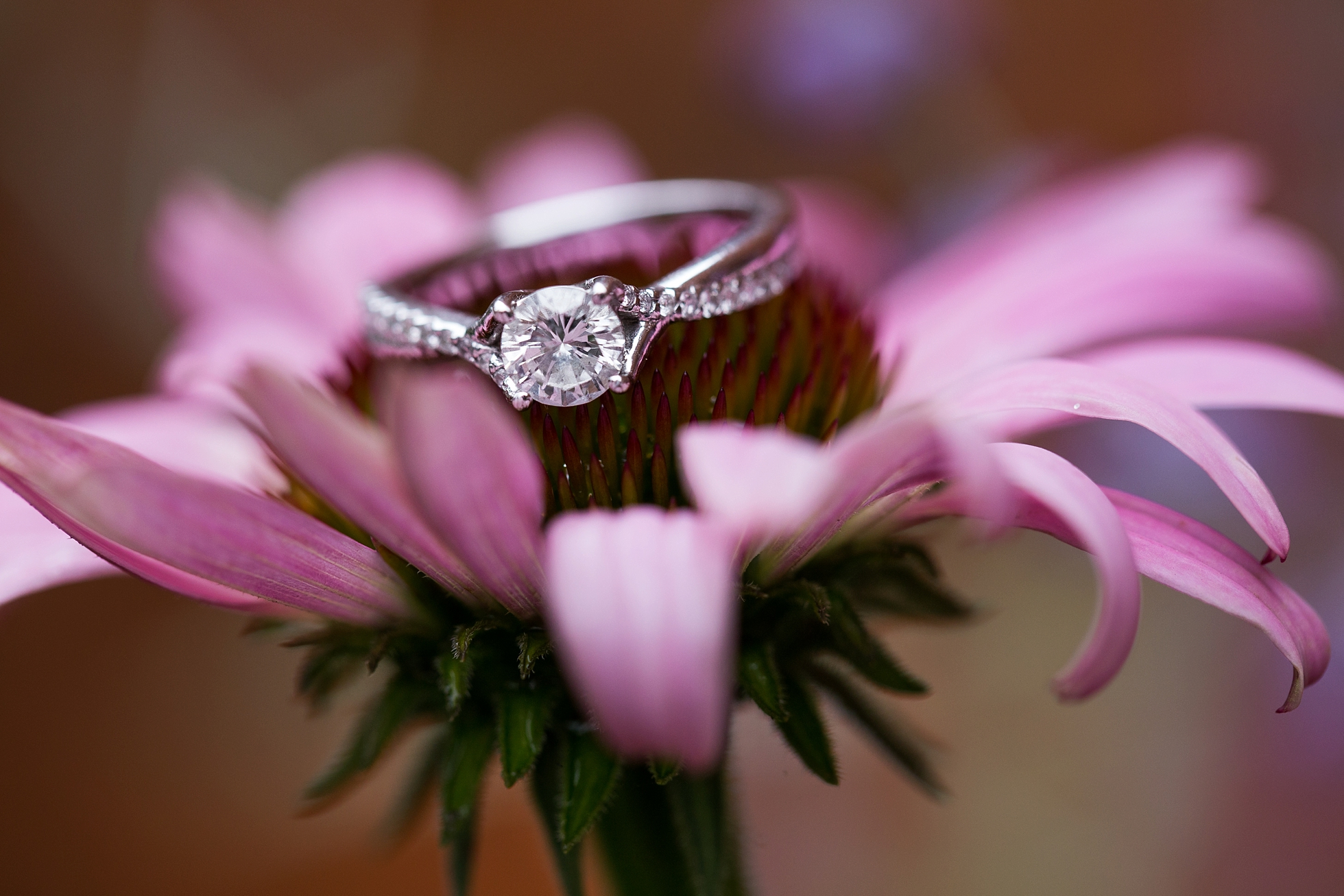 engagement photo ring flower