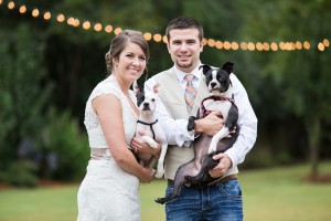 dogs wedding bride photo