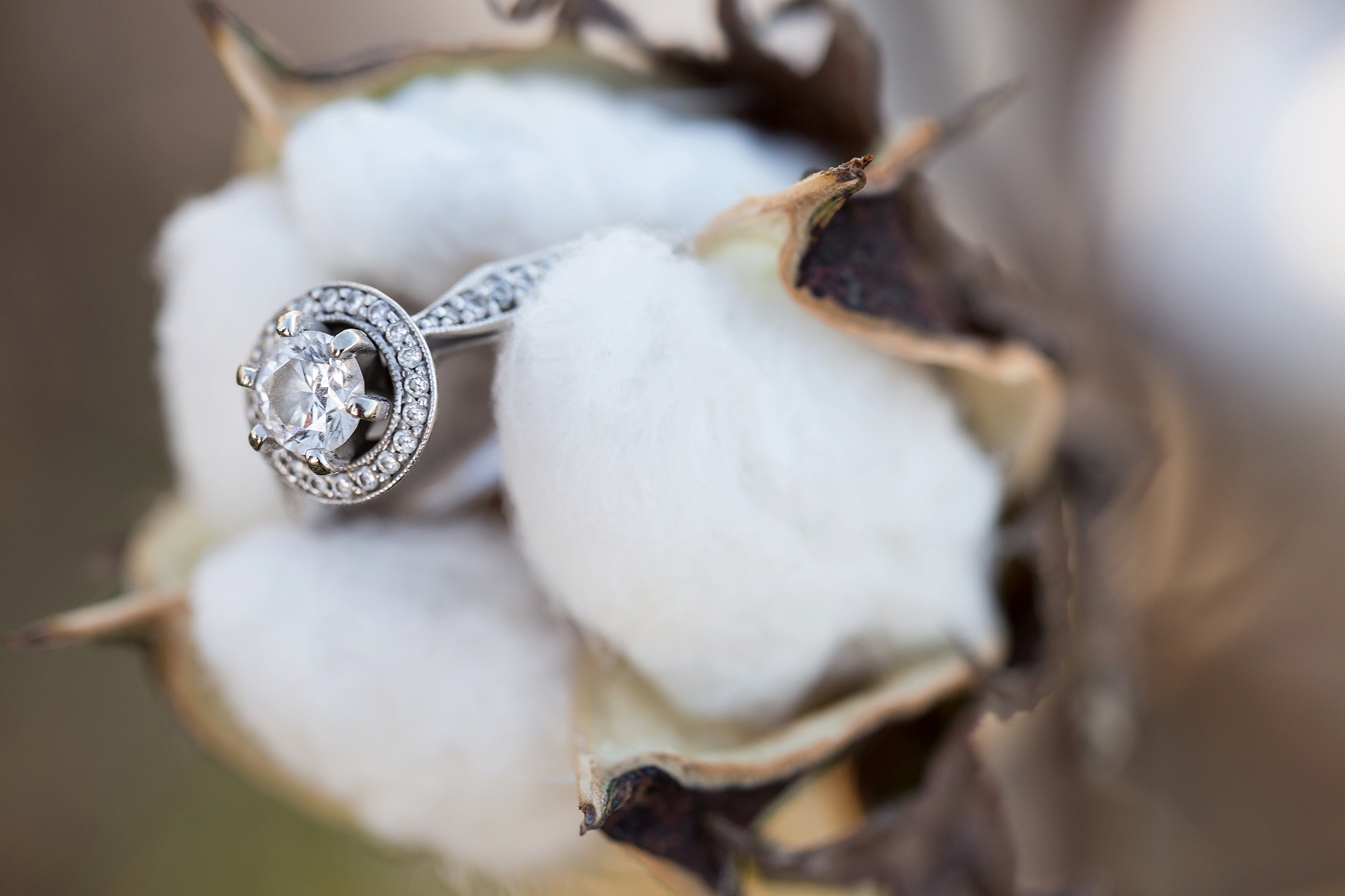 cotton field engagement ring