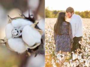 cotton love field engagement