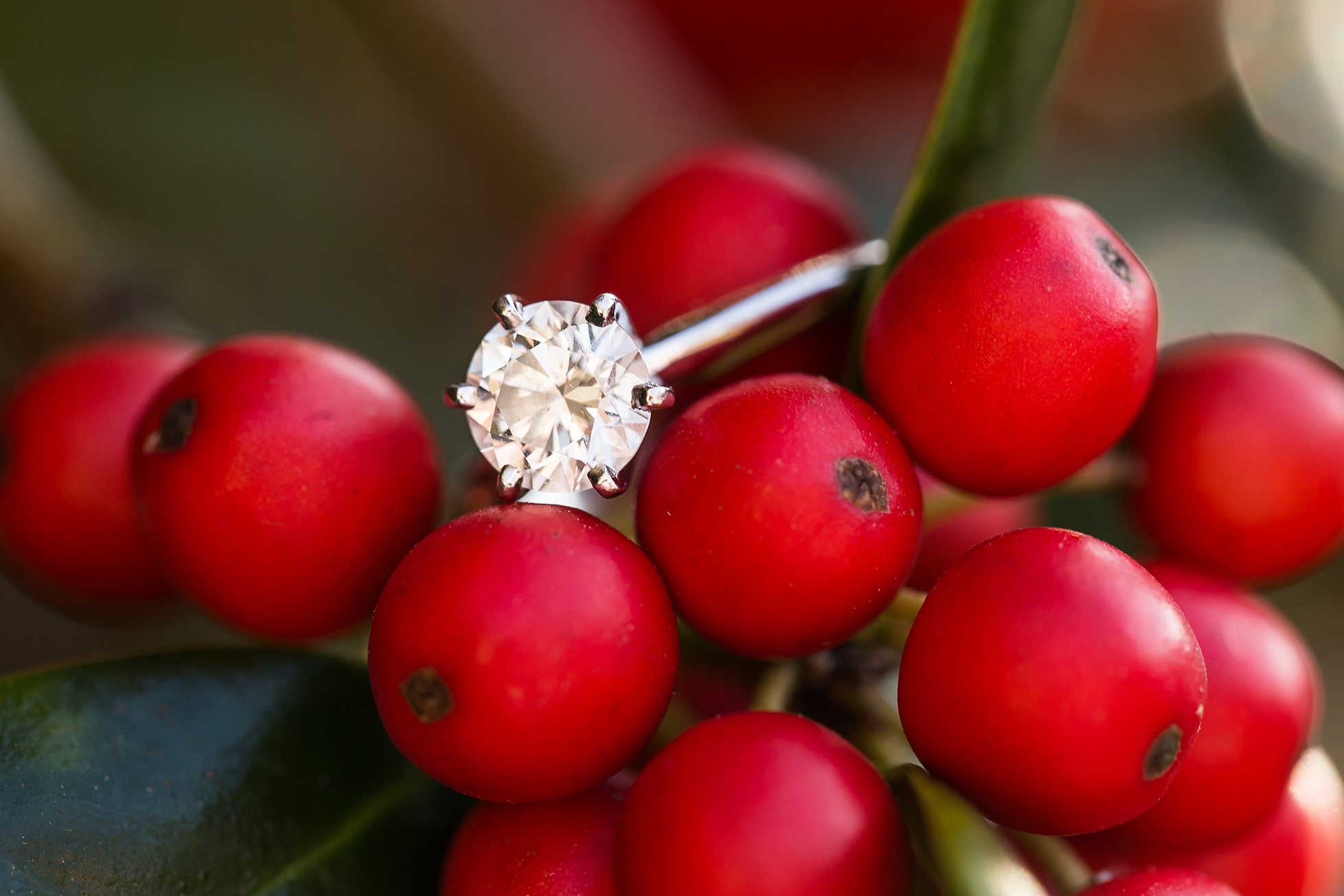berry christmas holly ring
