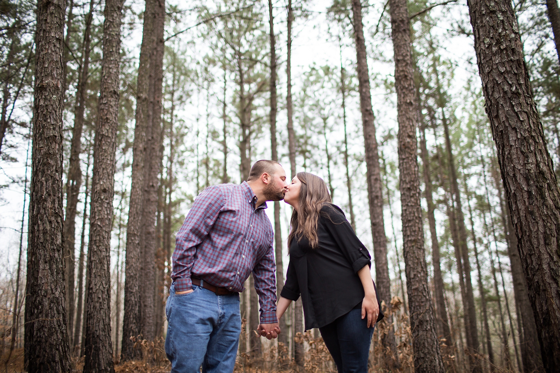 pine trees forrest woods engagement