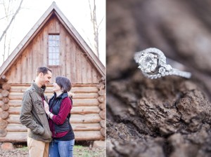 cabin woods engagement forest
