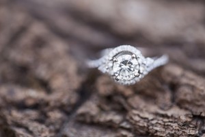 woodsy engagement ring tree