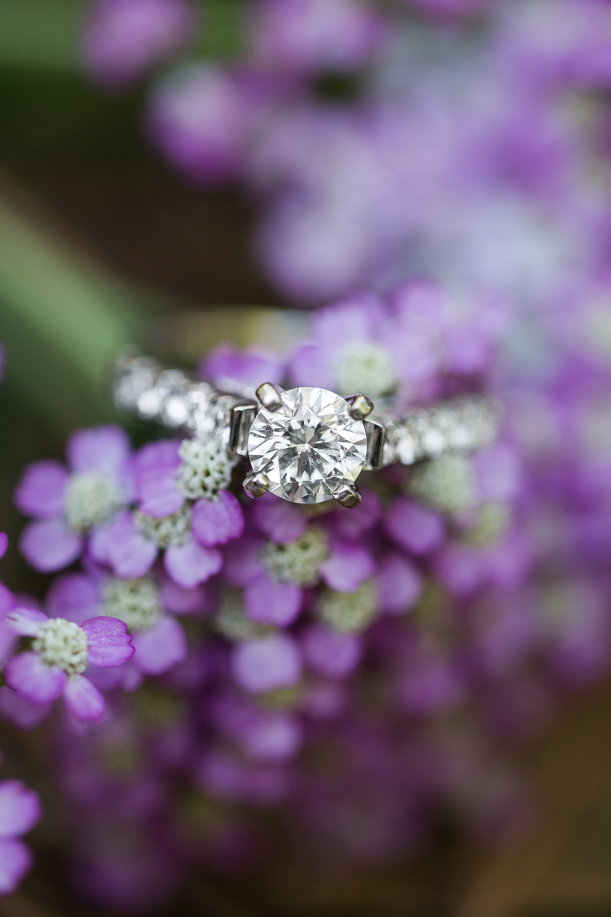 athens engagement photographer ring