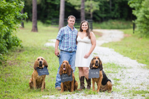 dog engagement wedding announcement