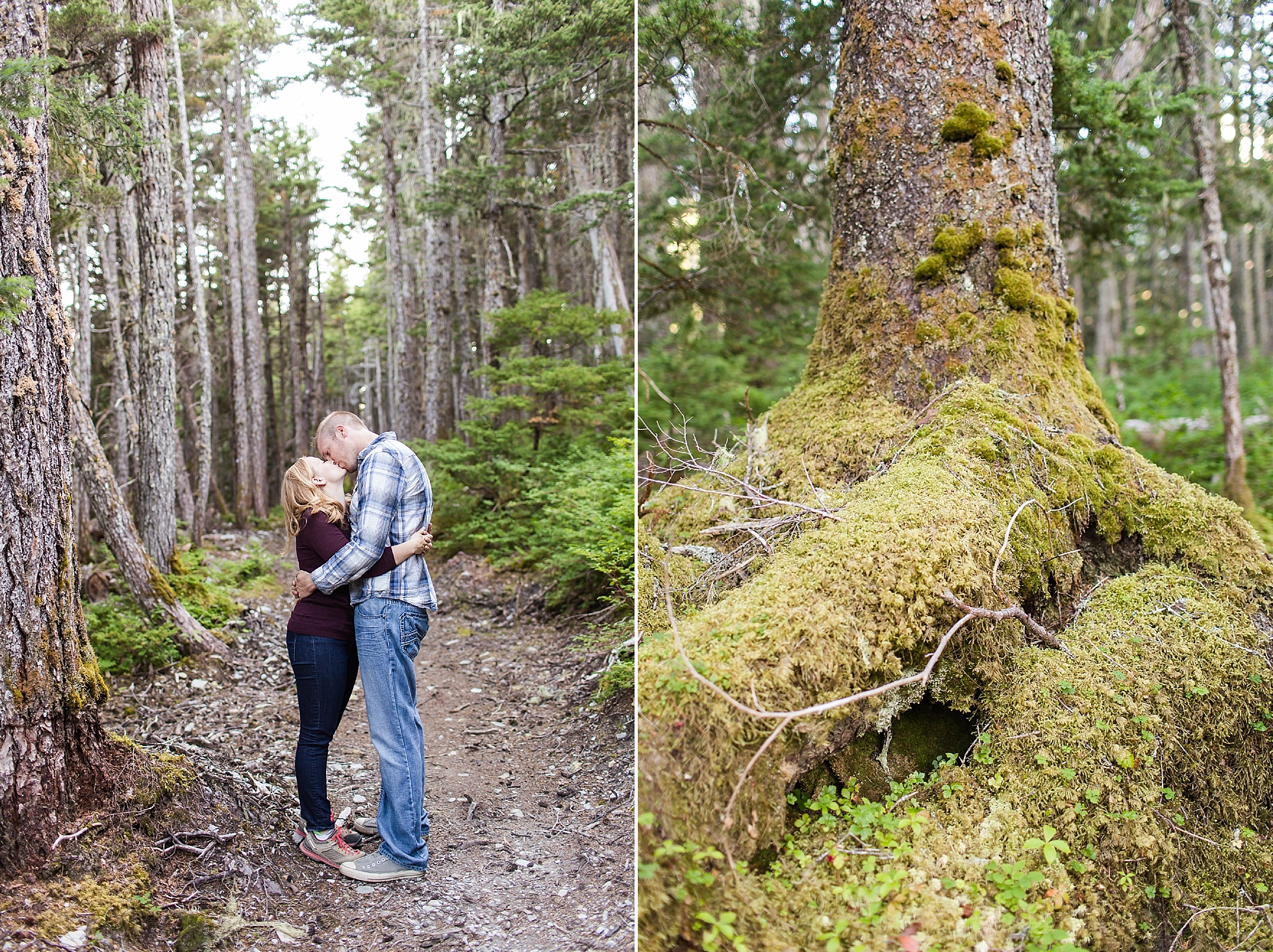 woods forrest engagement photos