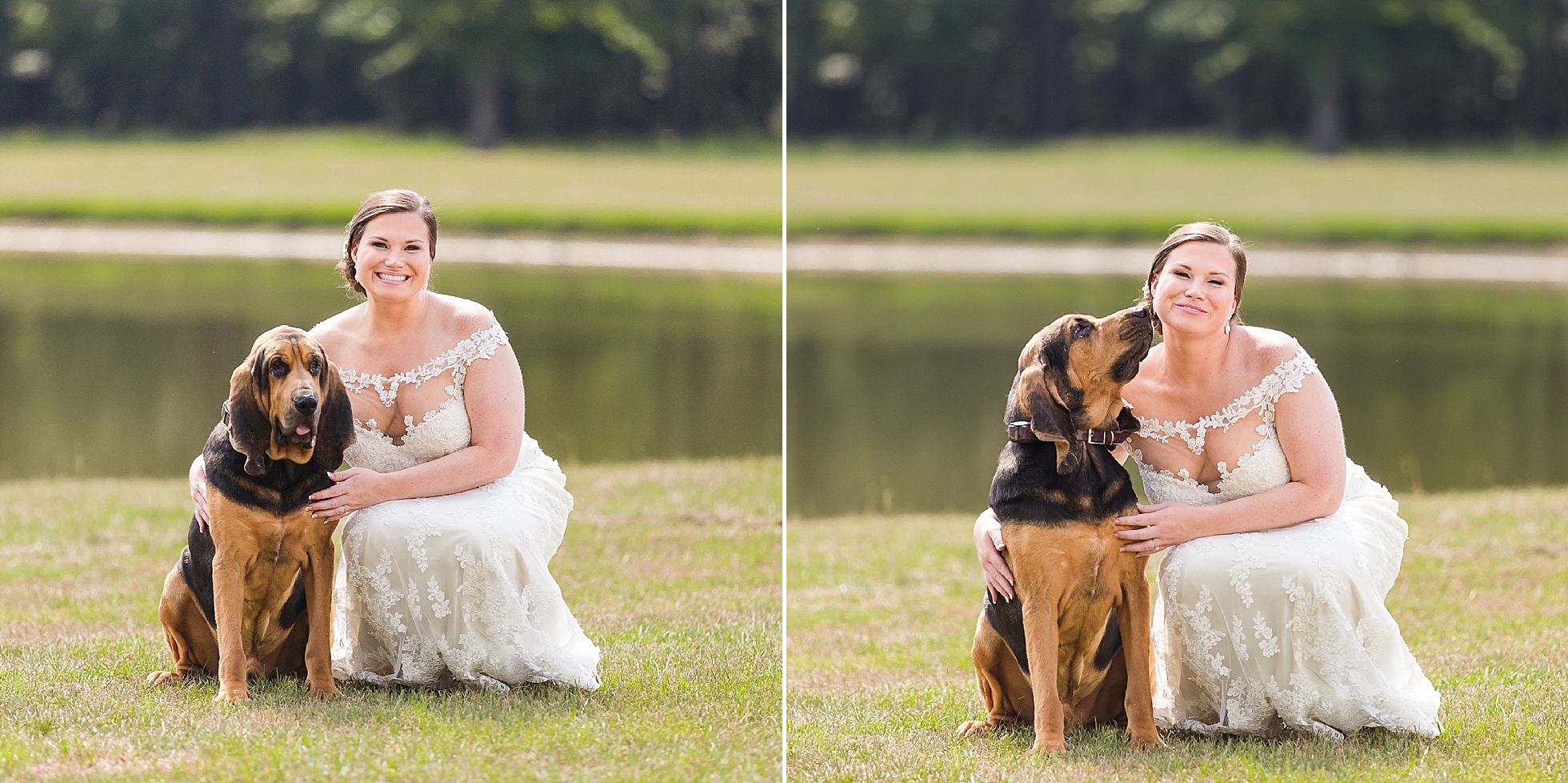 dog bride pet wedding