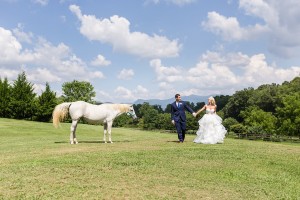 horse mountain wedding photos