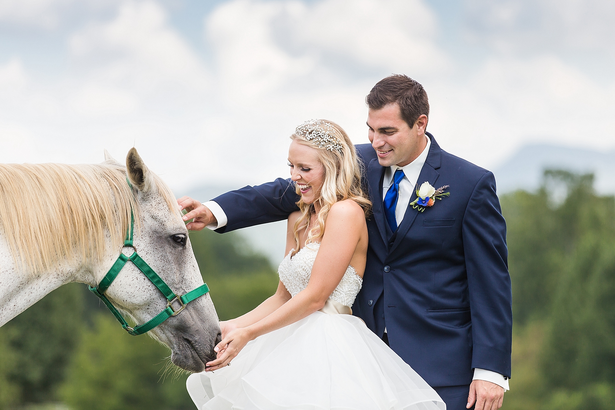 horse wedding photos