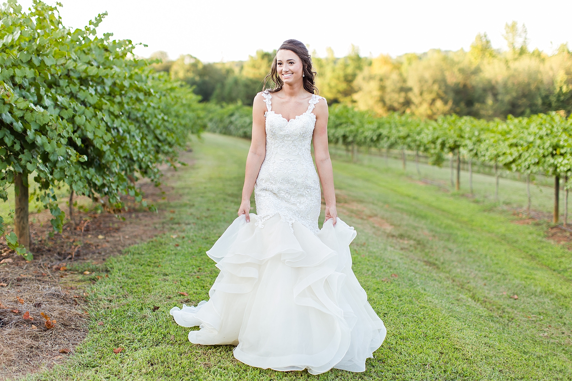 vineyard wedding photos
