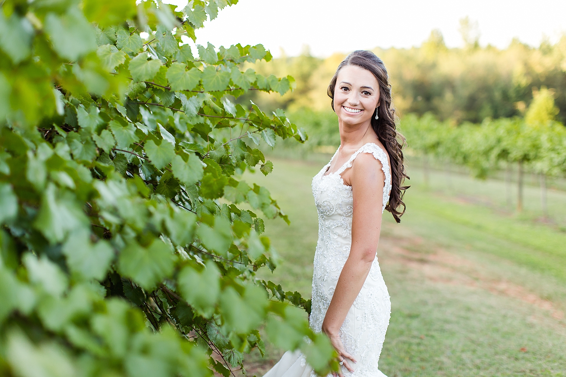 vineyard wedding photographer