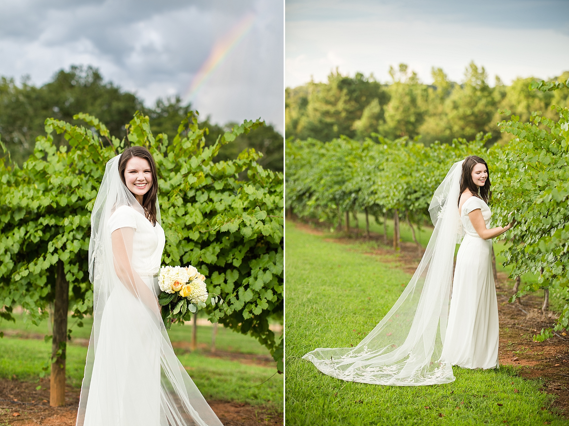 rainbow vineyard bride photos