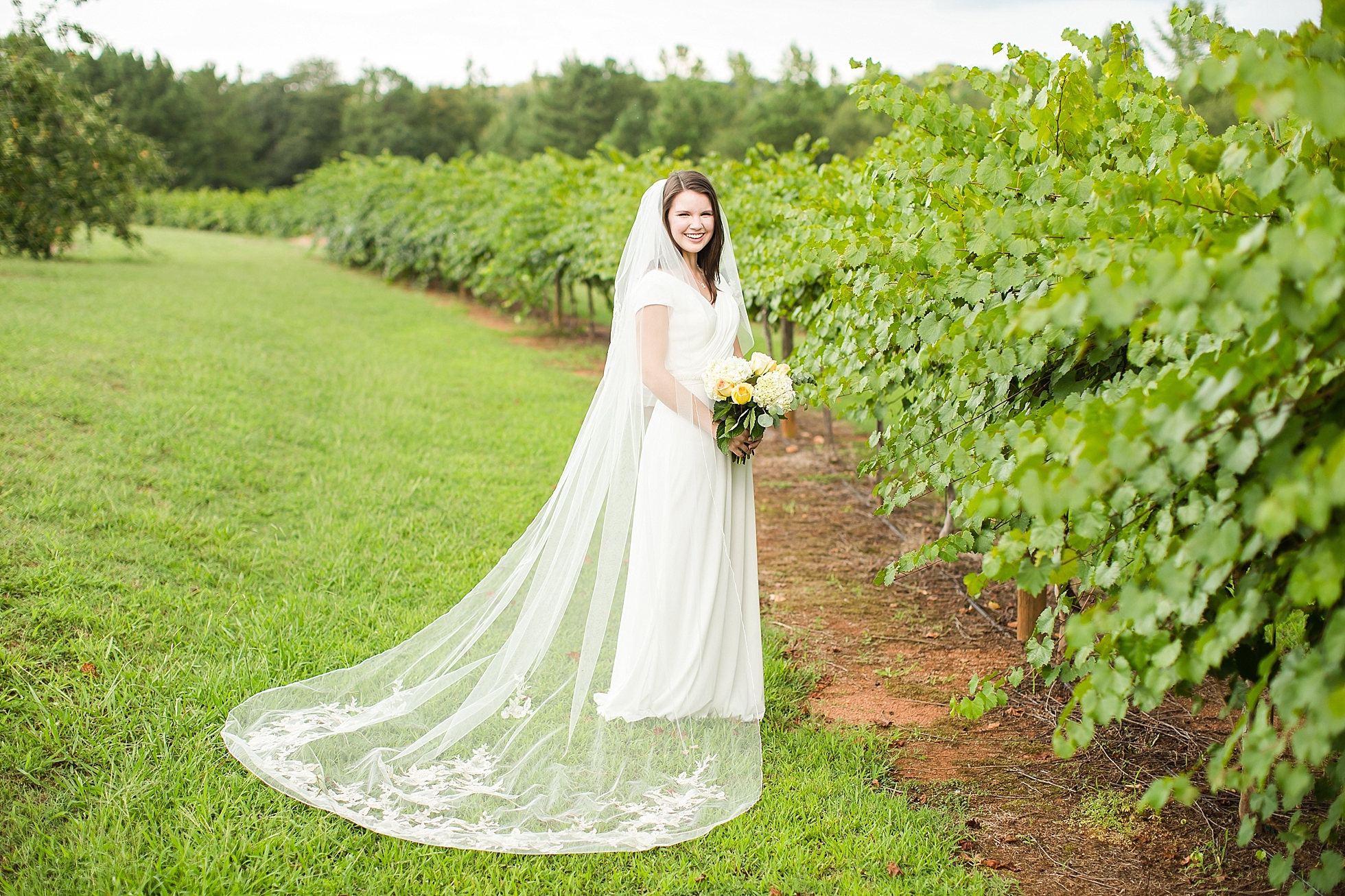 bridal portraits vineyard athens