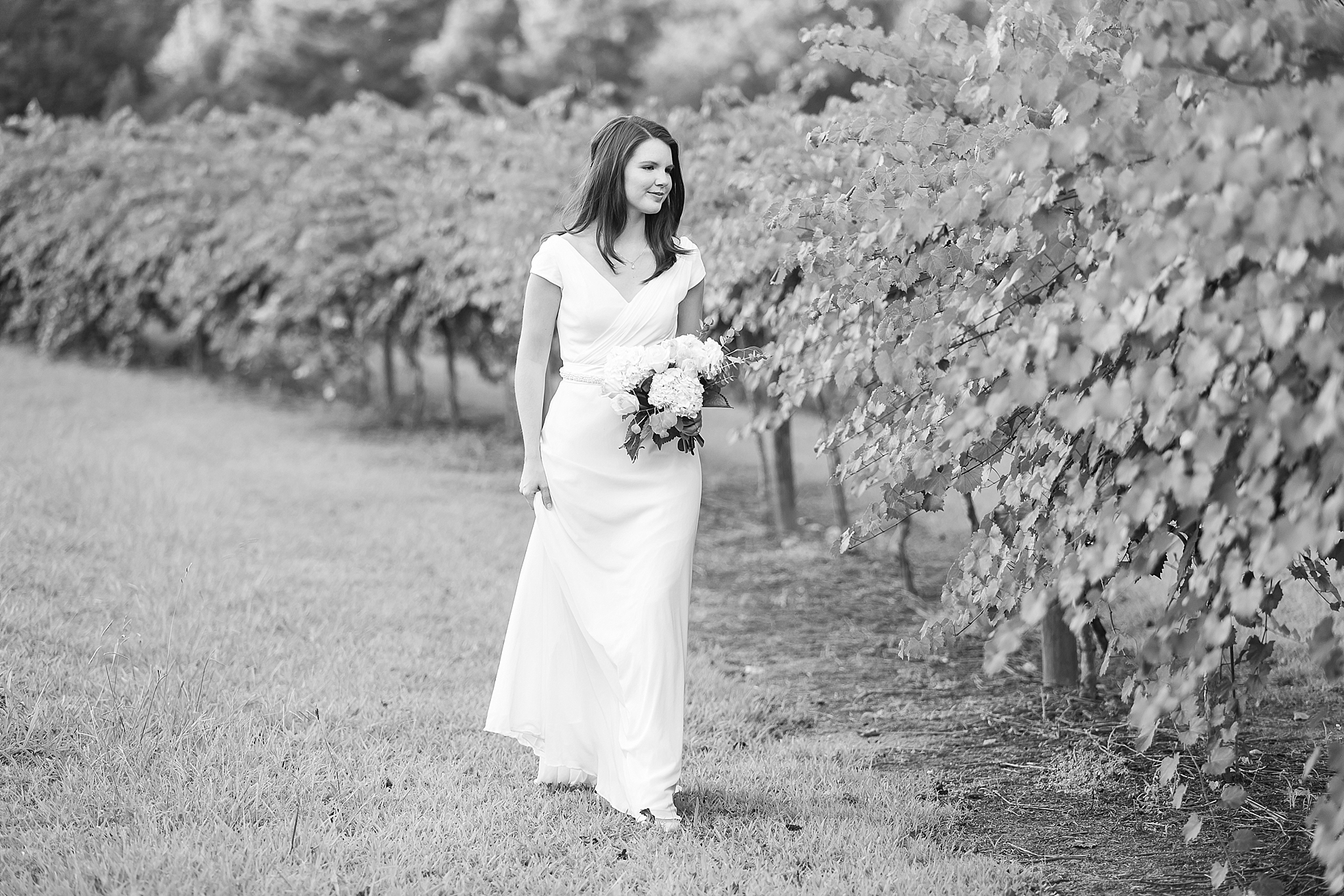vineyard wedding photos farm