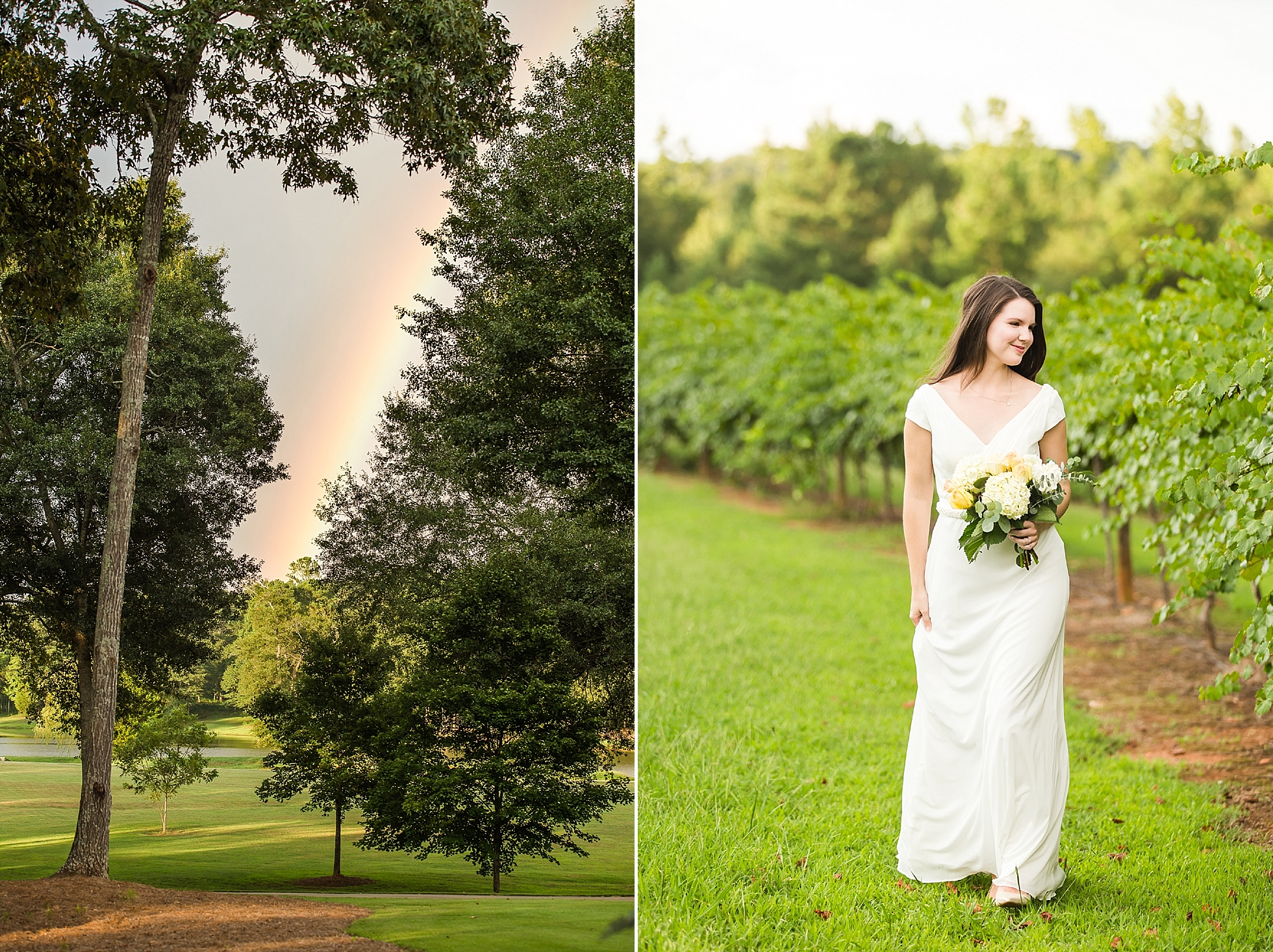 rainbow wedding photos vineyard