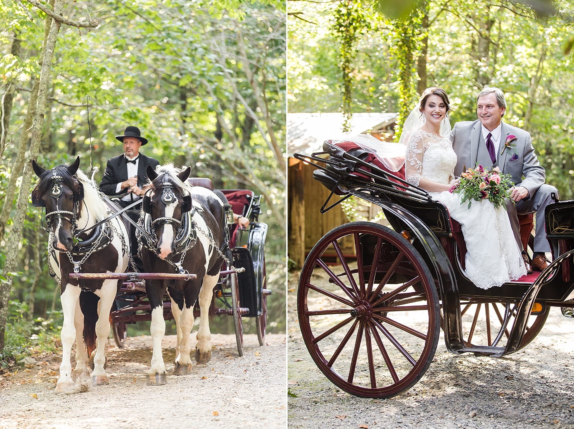 fairytale horse carriage wedding