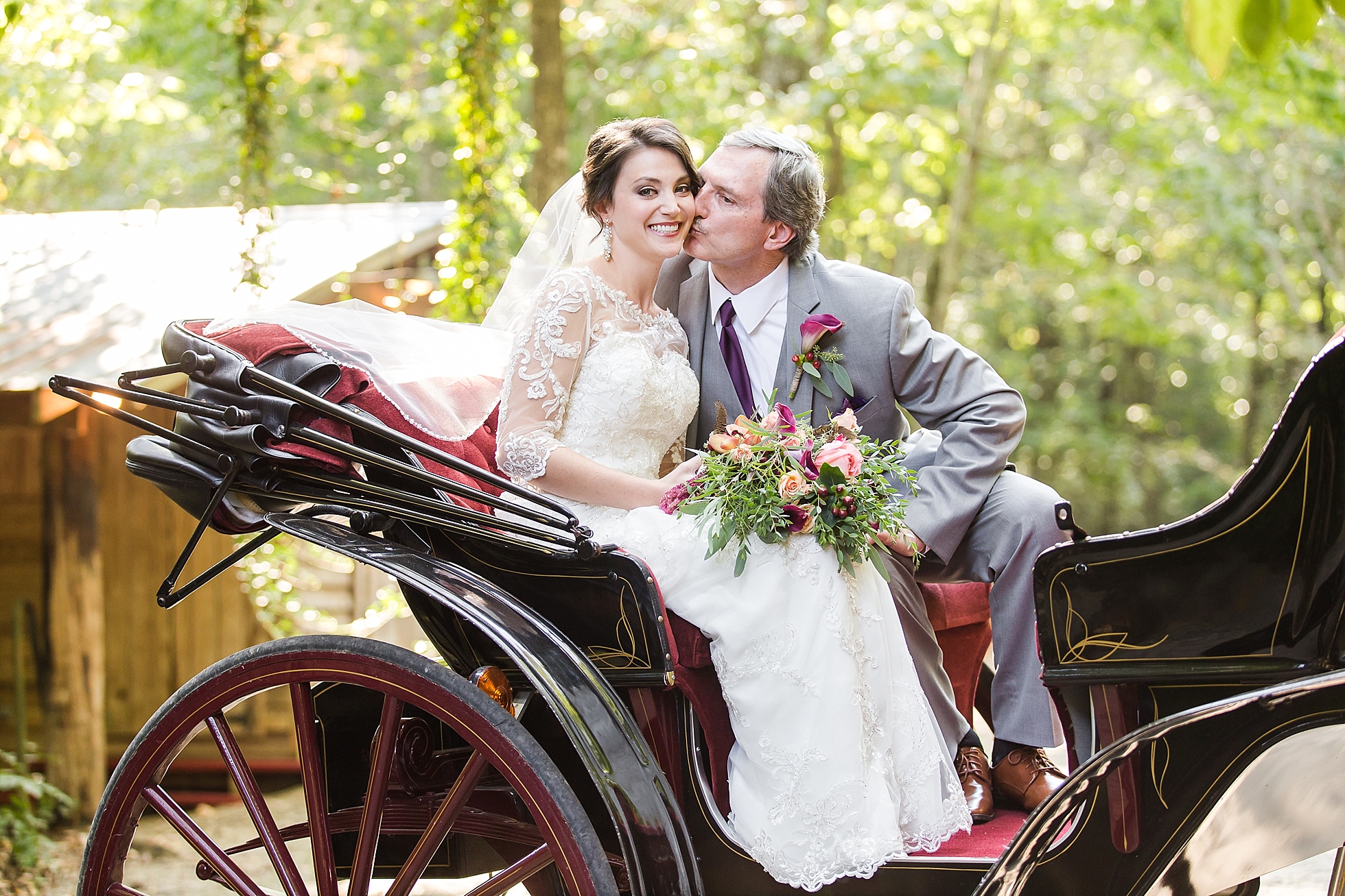 horse carriage wedding photos