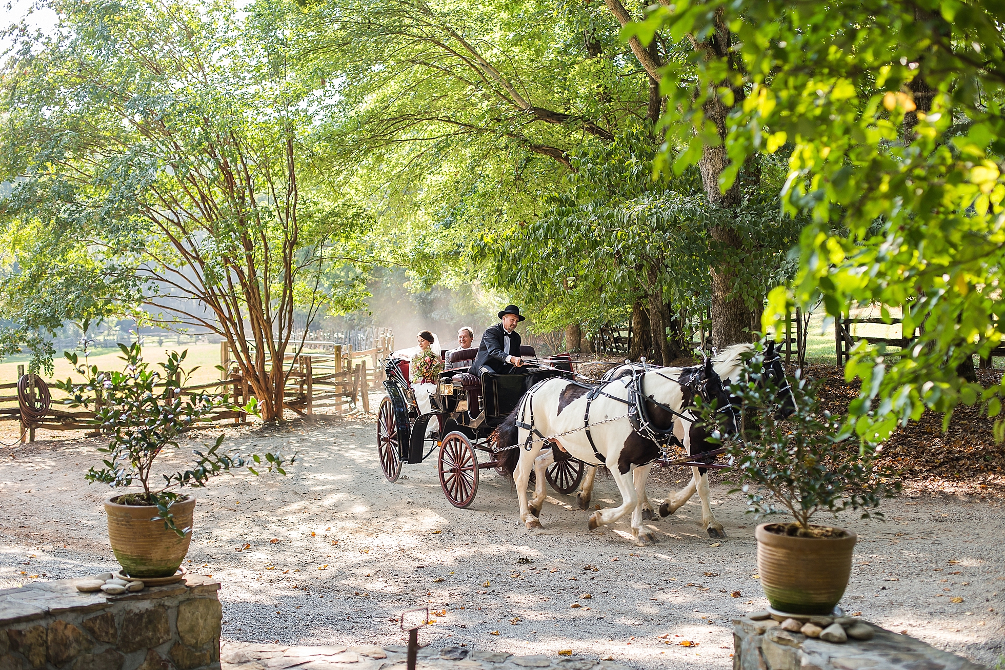 wedding fairytale horse carriage