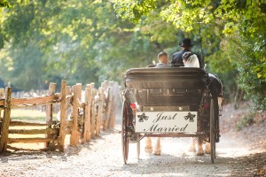 charleston wedding photographer carriage