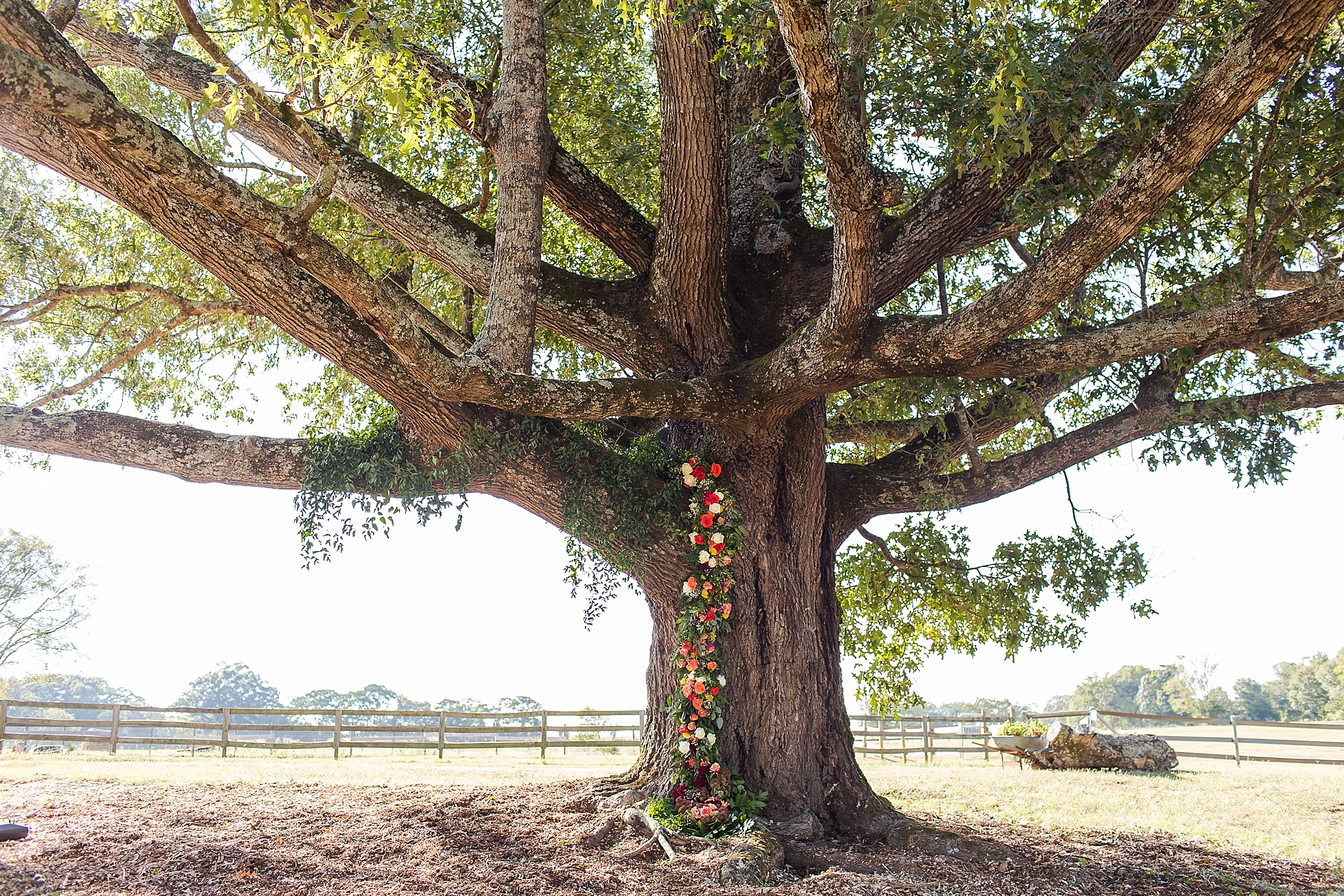 ceremony tree garland floral