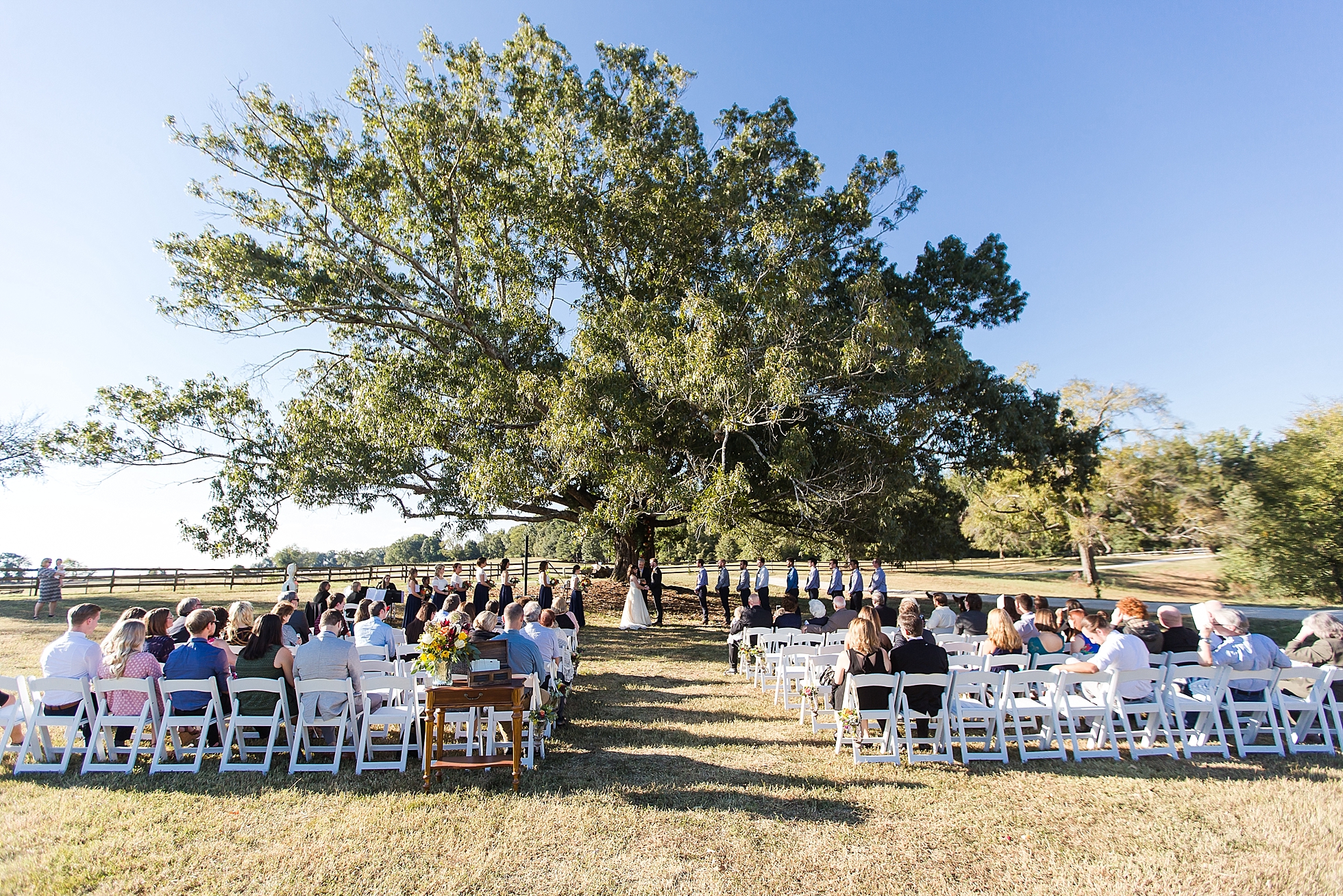 outdoor wedding ceremony tree