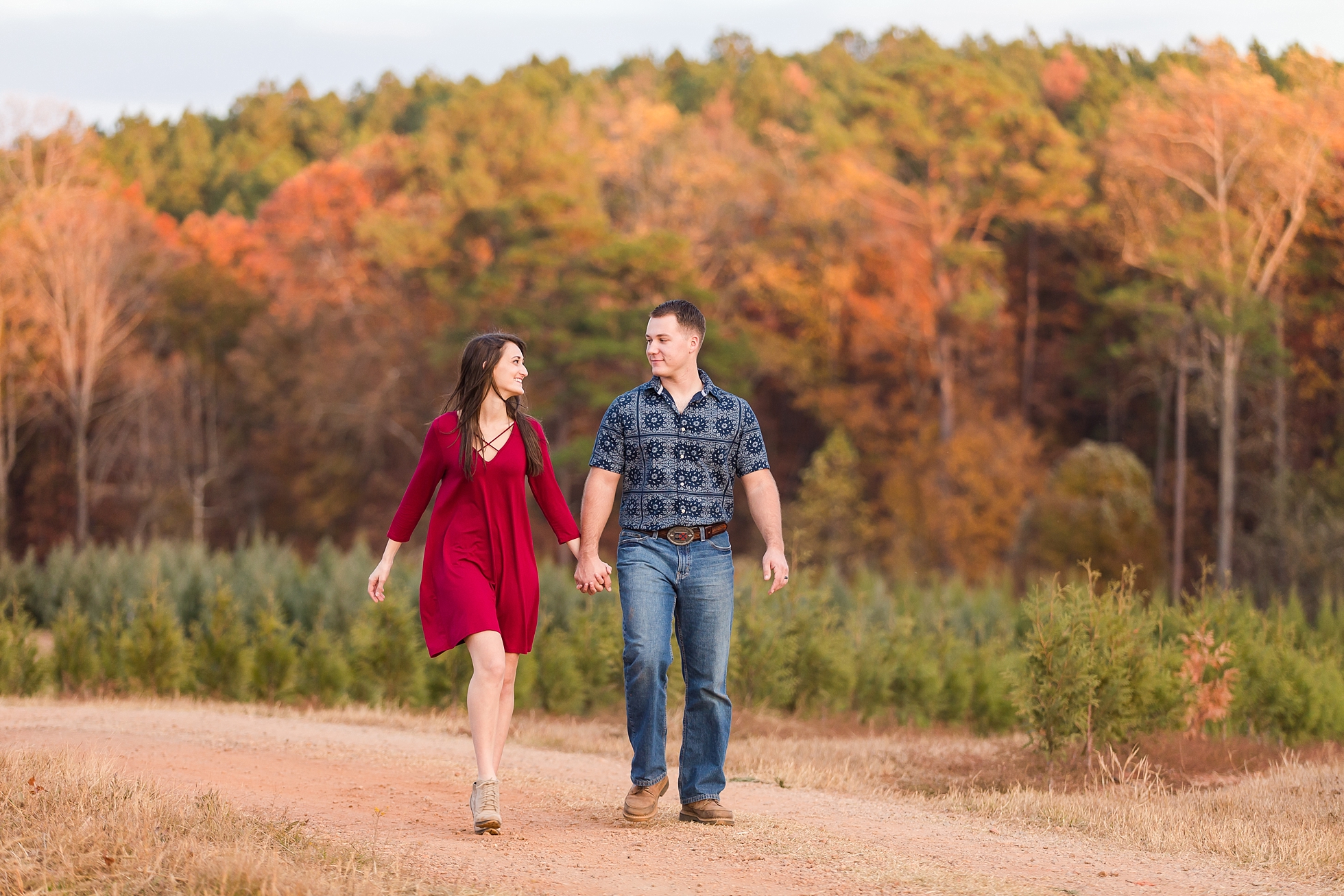 fall engagement photos trees