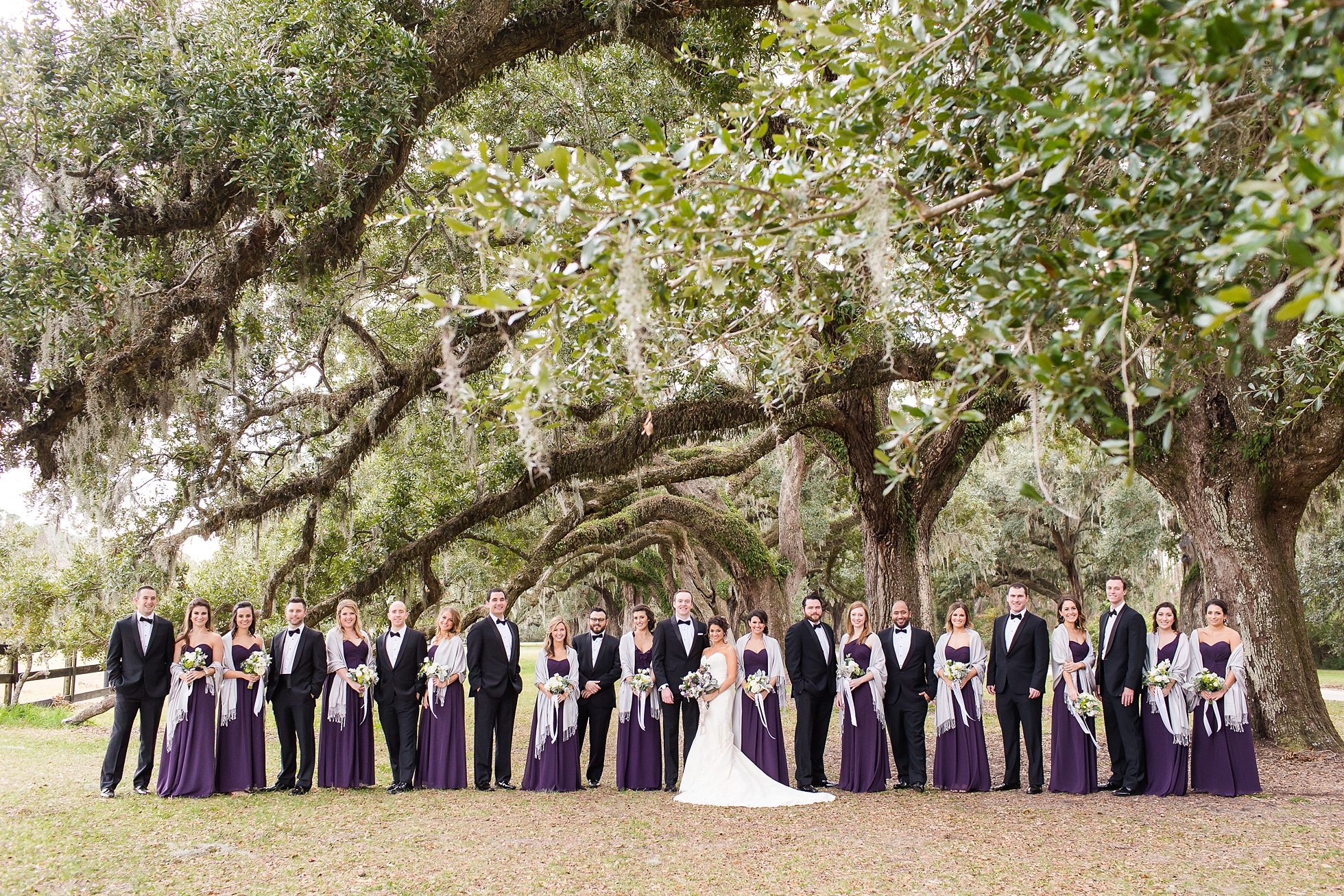 wedding party charleston oak trees
