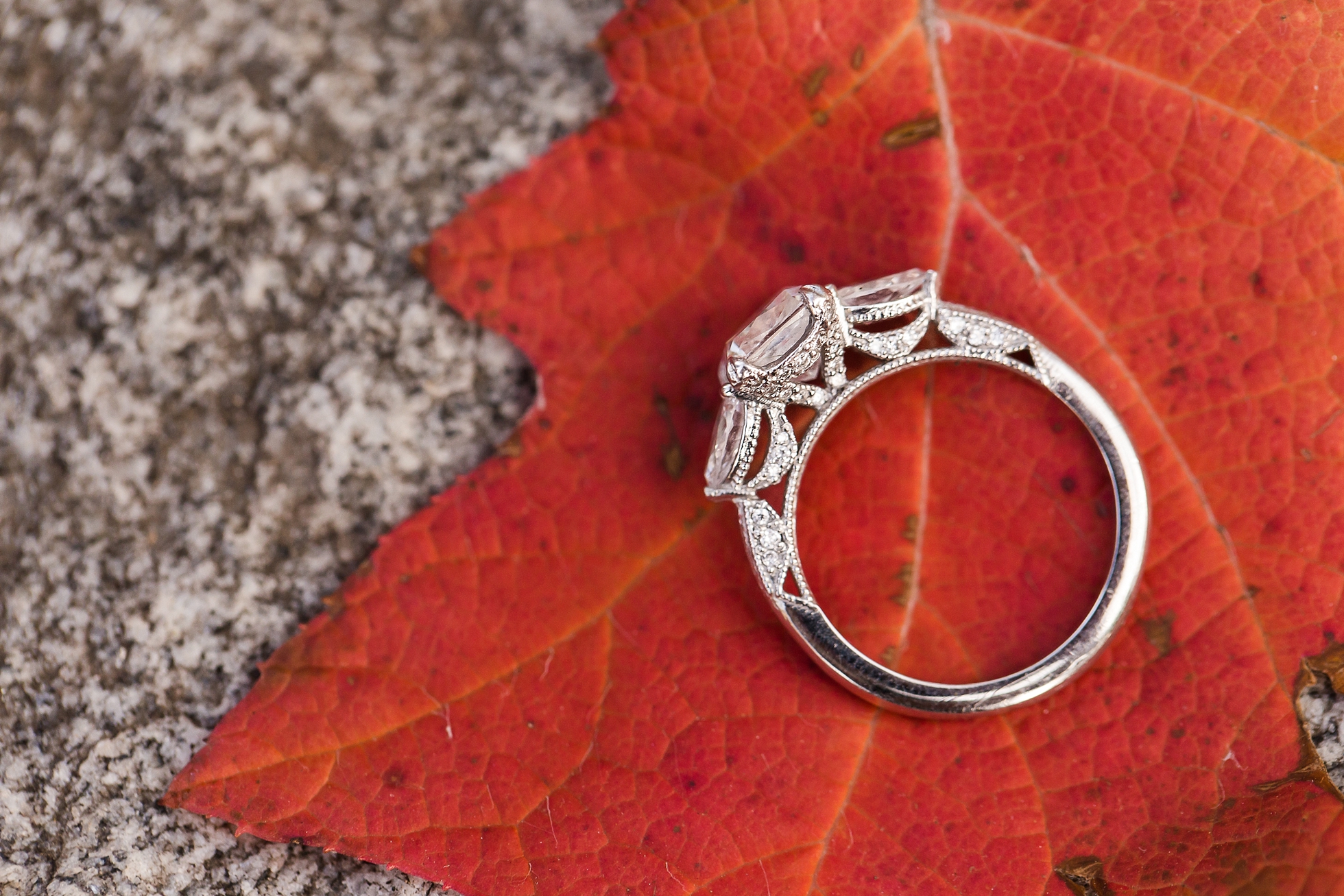 engagement ring fall photographer