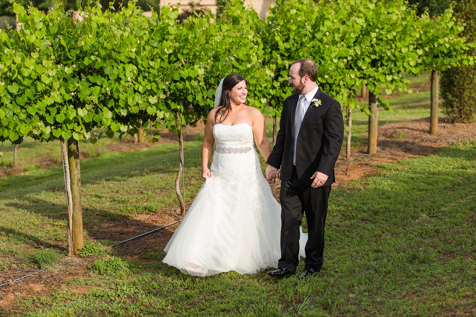 vineyard wedding georgia
