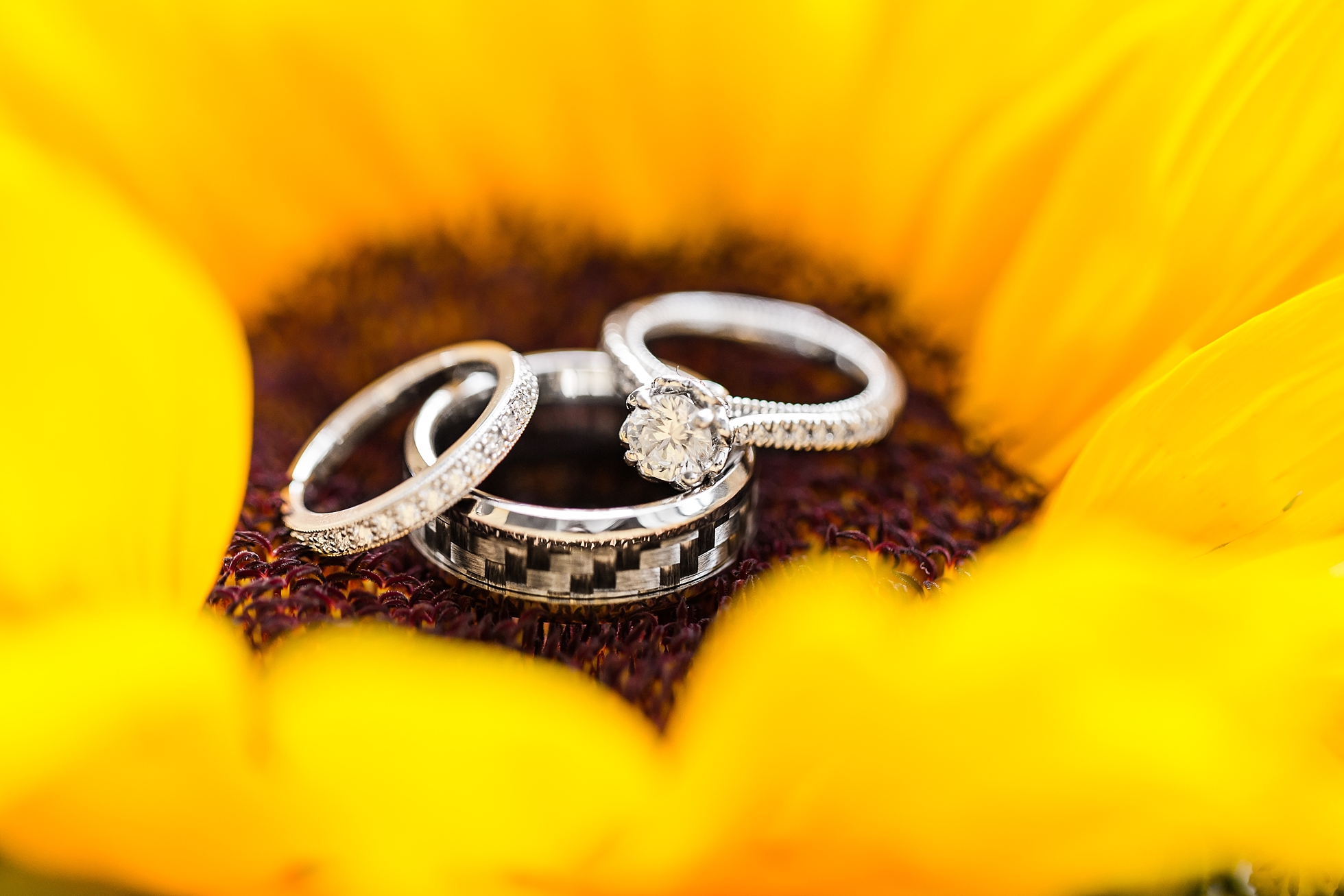 sunflower wedding rings