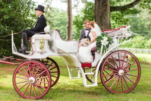 horse carriage wedding photos georgia fairytale