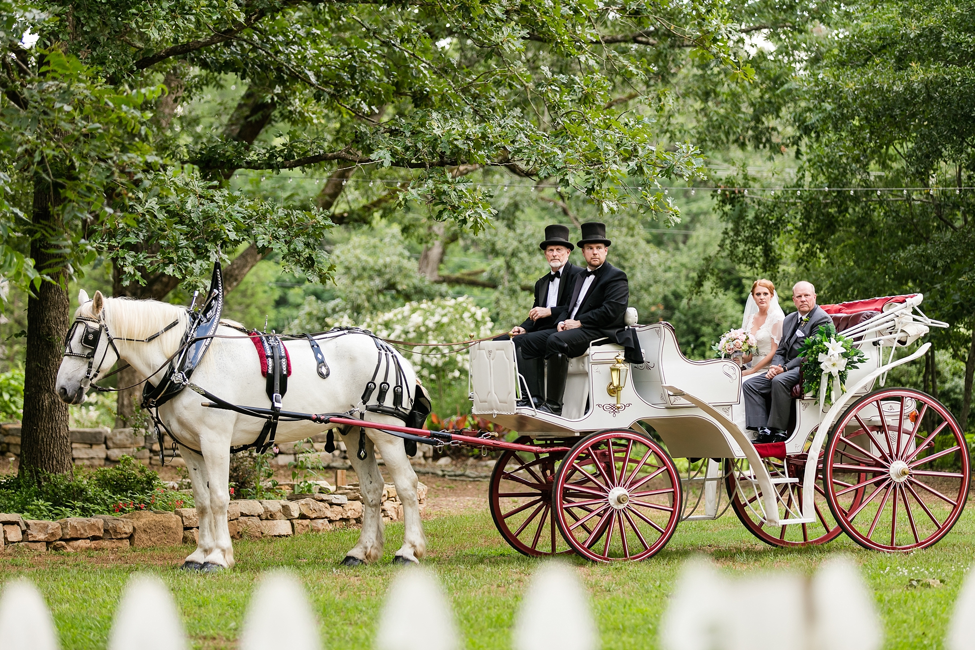 horse carriage fairytale wedding 9 oaks farm