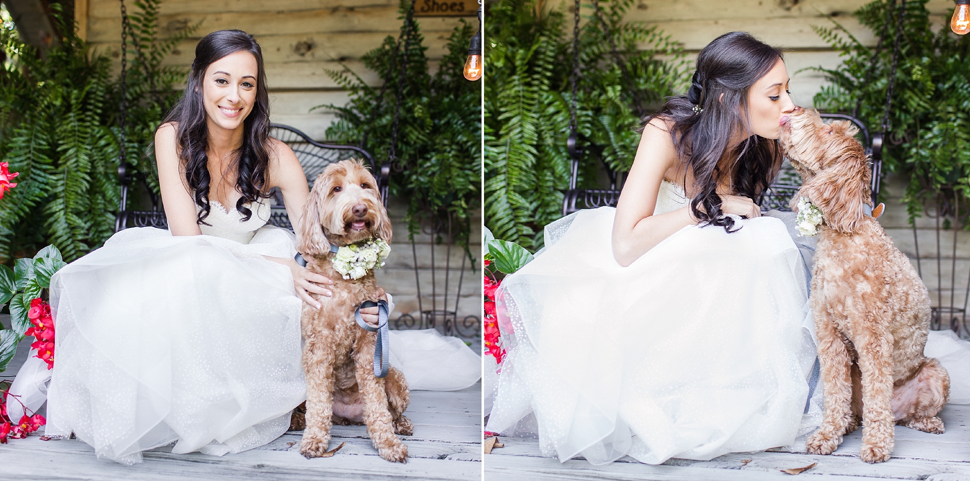 bride dog pup pet wedding