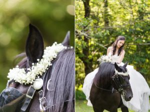 horse wedding bride portrait bridal