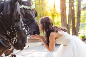 horse wedding bride portrait bridal
