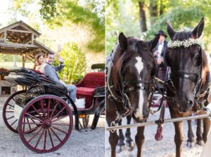 horse carriage wedding fairytale