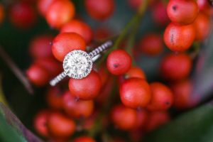 engagement ring berries christmas