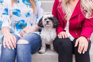 best friends dog senior photos