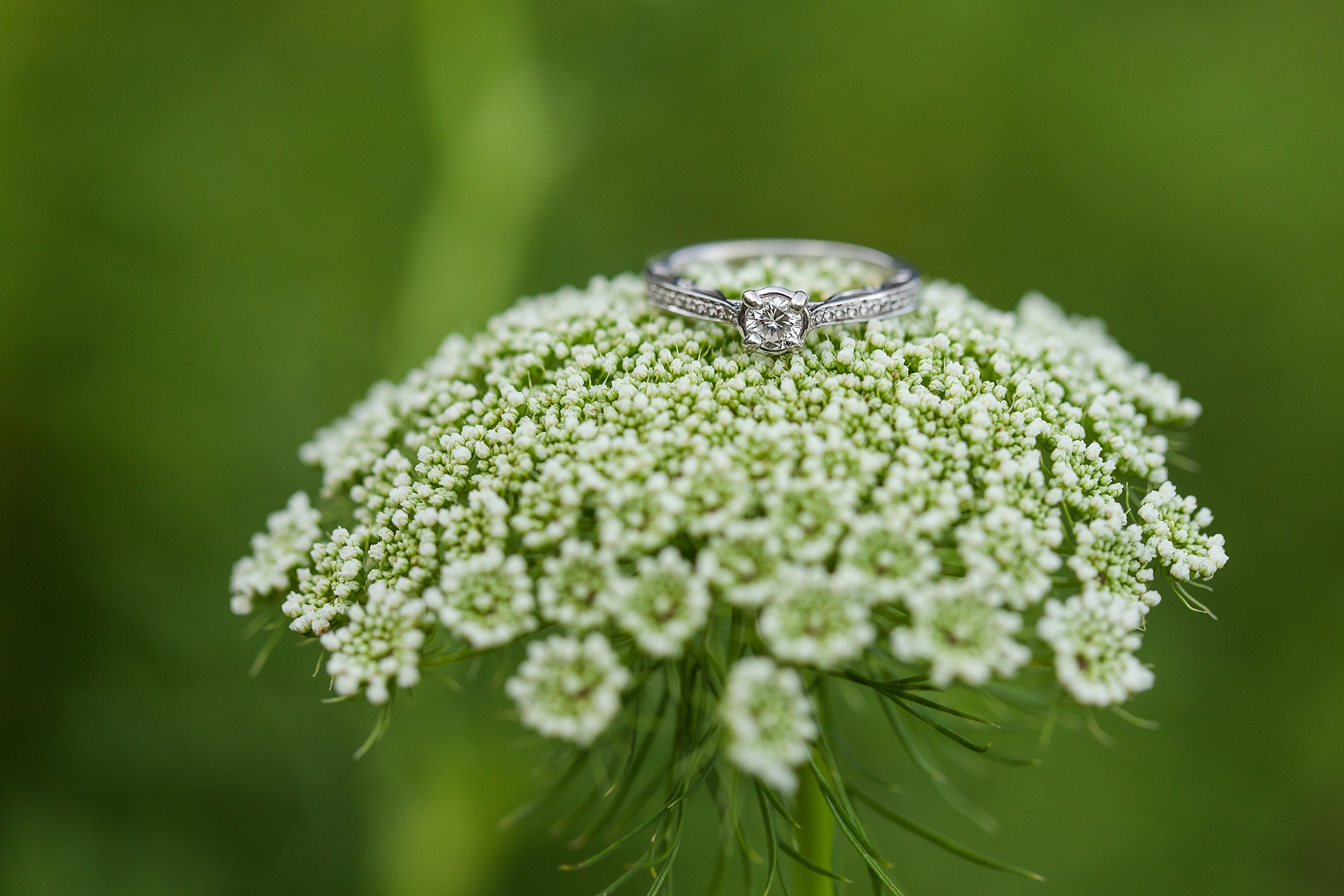engagement ring georgia flower