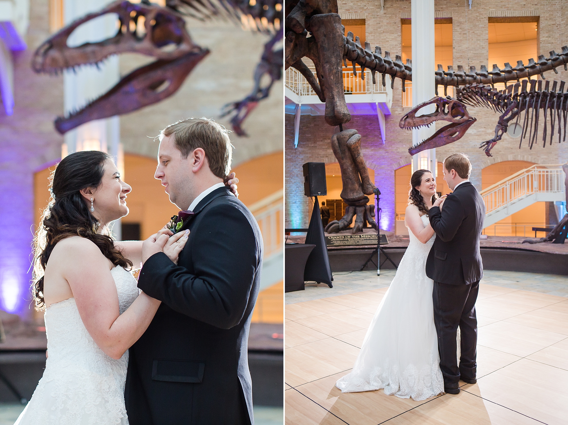 fernbank museum wedding reception dinosaur