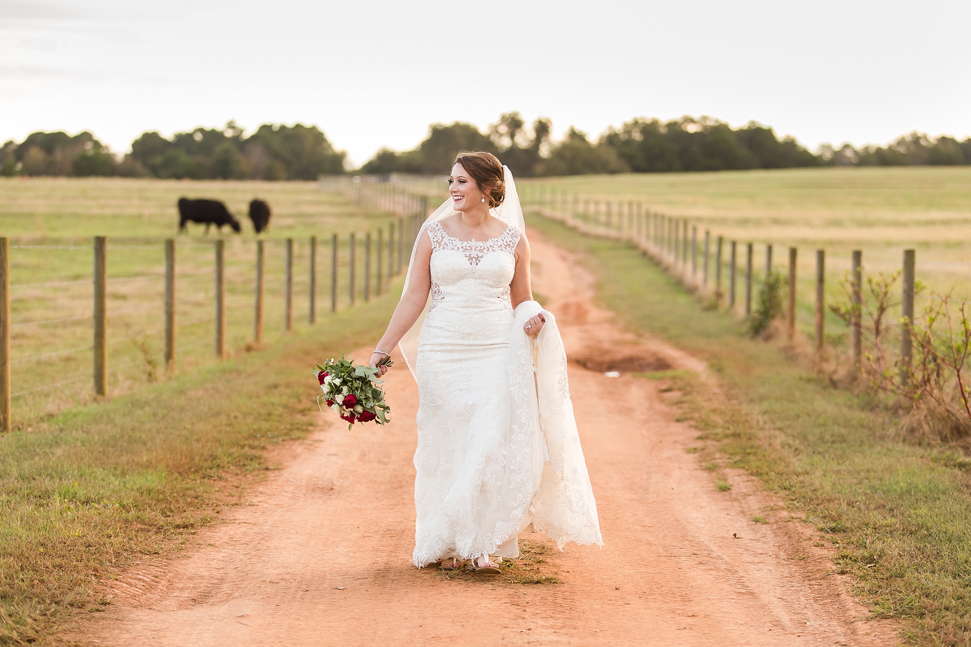 farm cows bridal portrait session