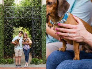 dogs engagement photos