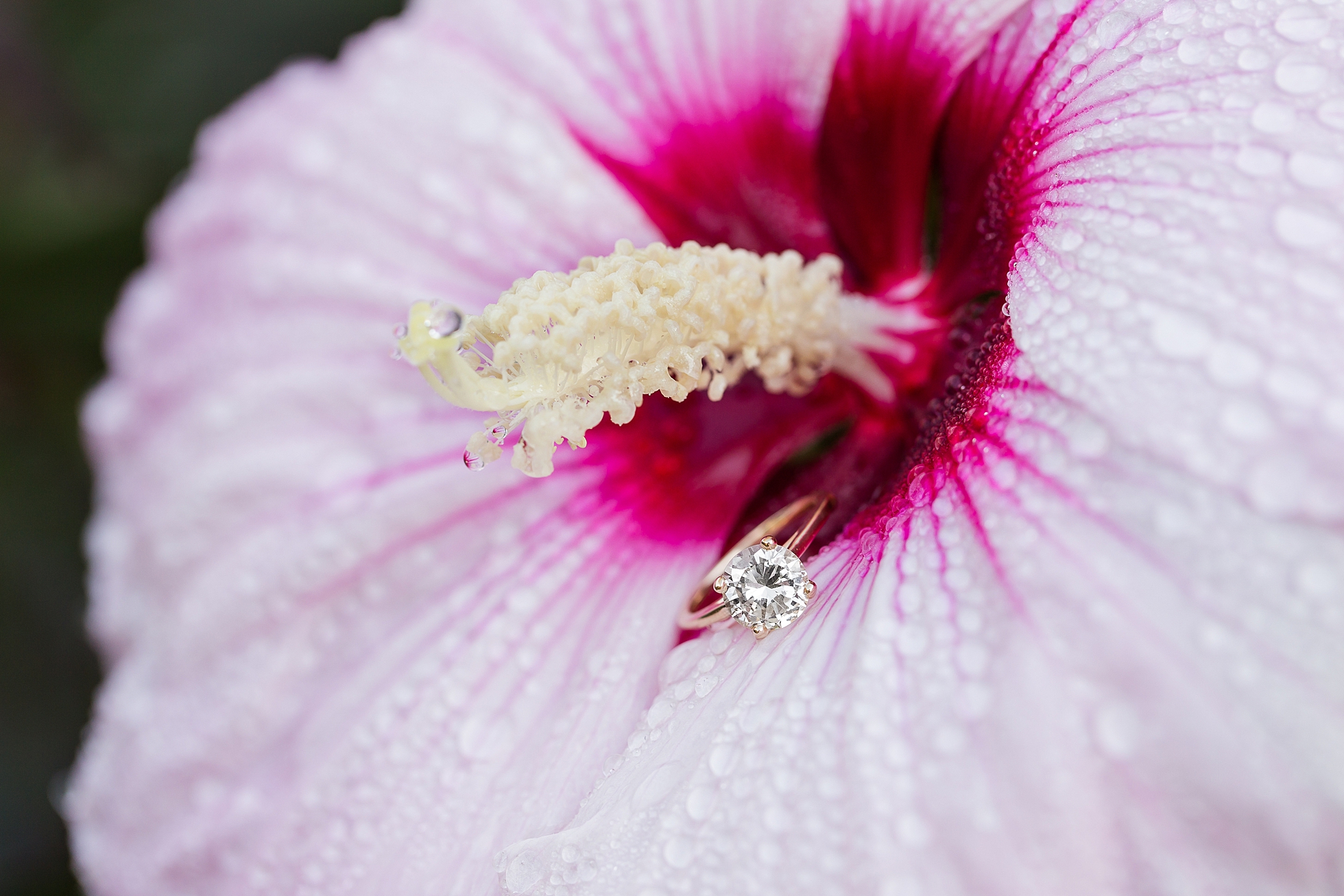 engagement ring garden flower