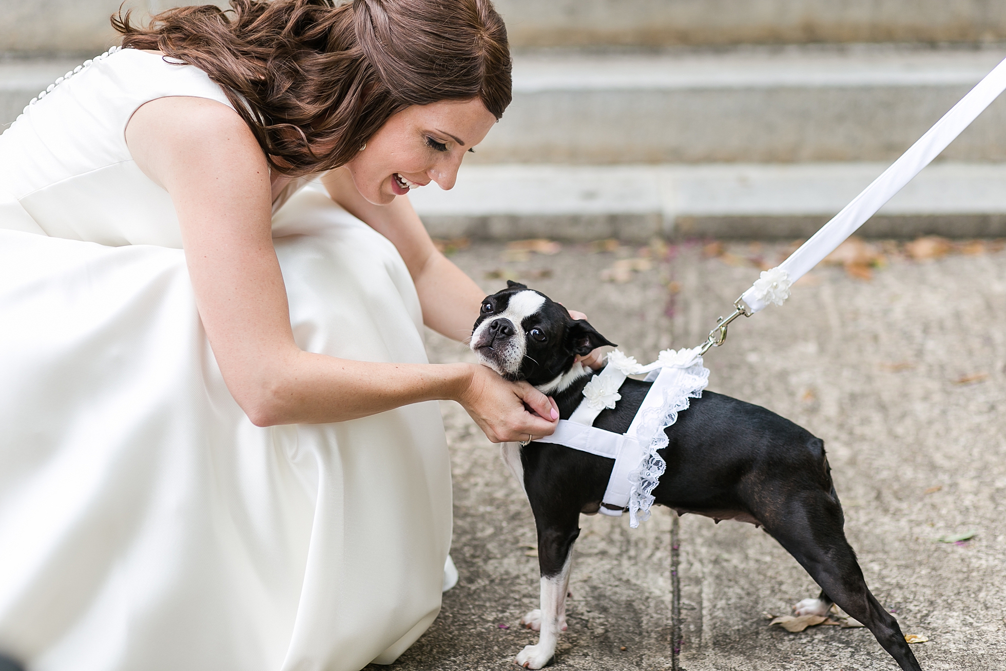 wedding dog bride athens