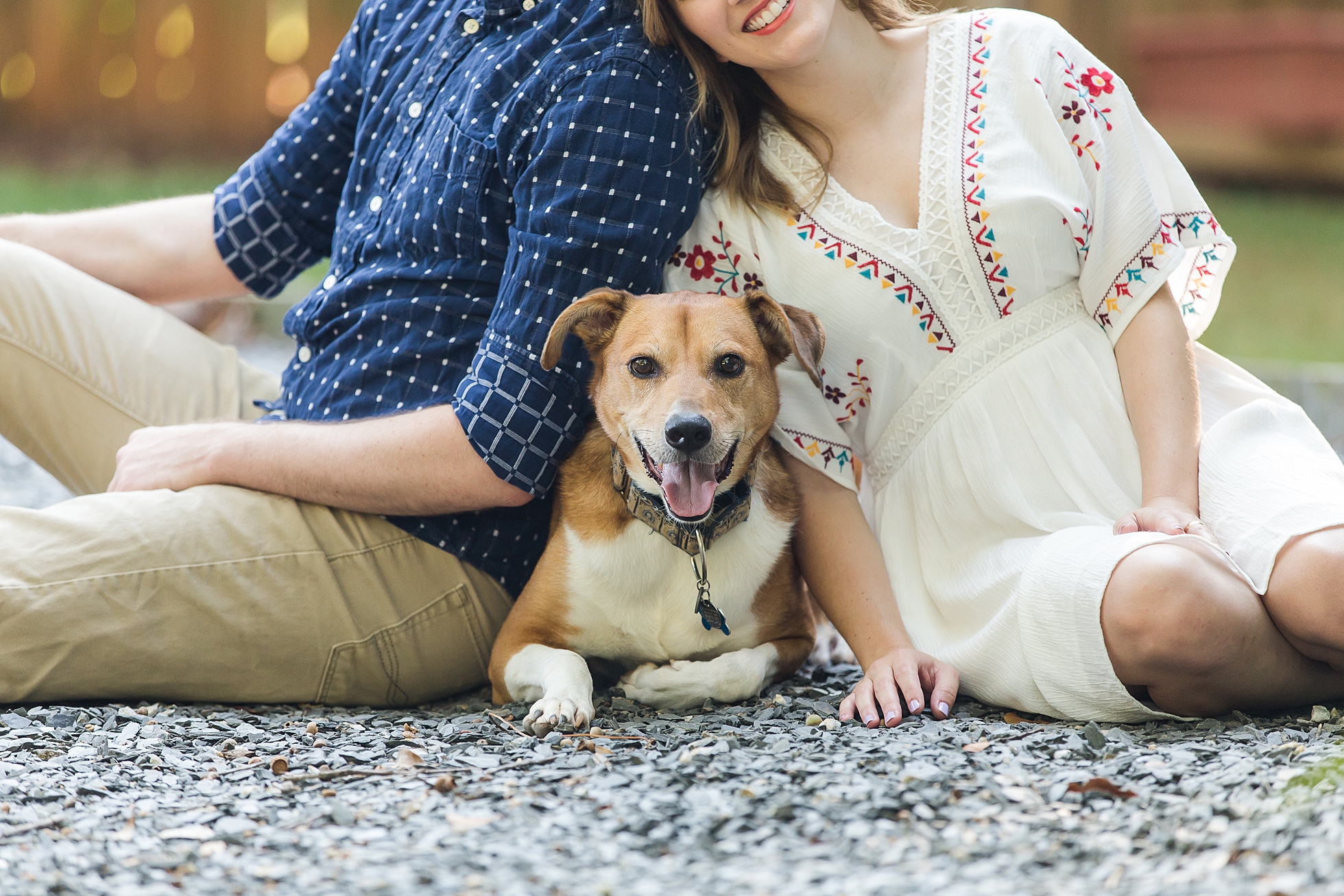 dog couple love engagement photos
