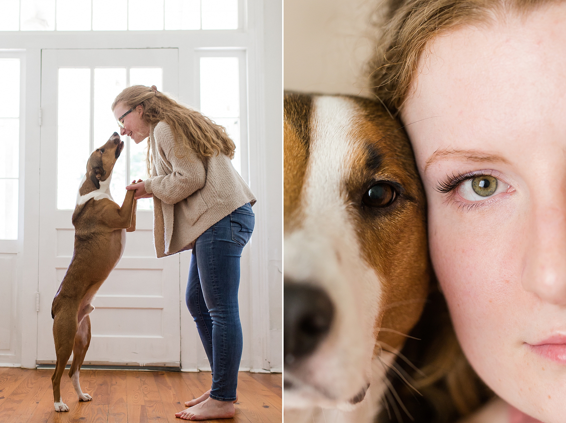 studio pet portrait dog photographer