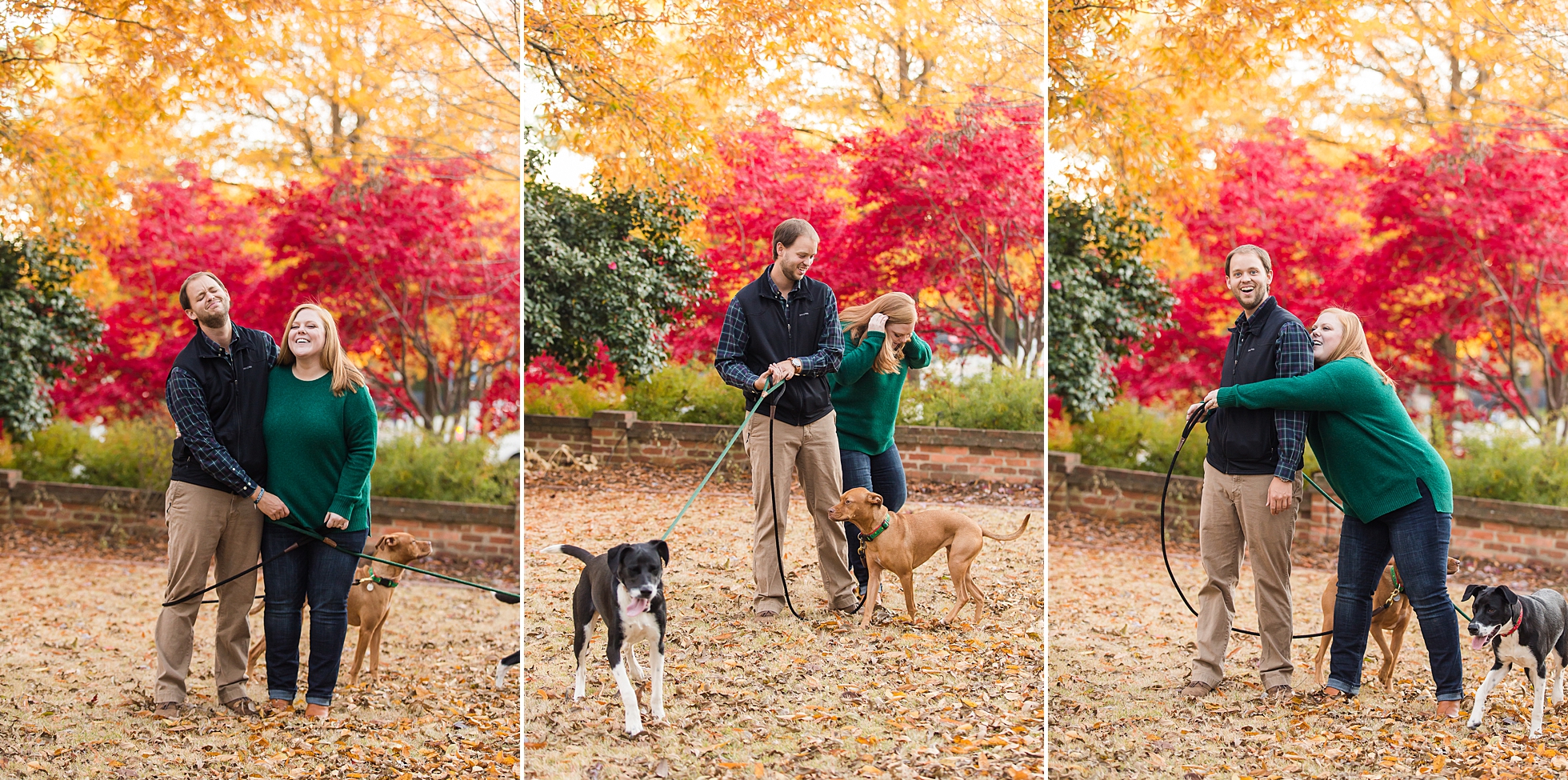 bloopers outtakes dog photos